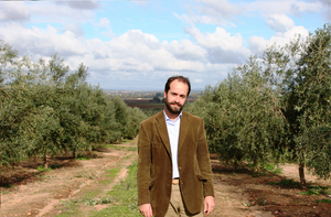 Olive Oil Prices in Spain